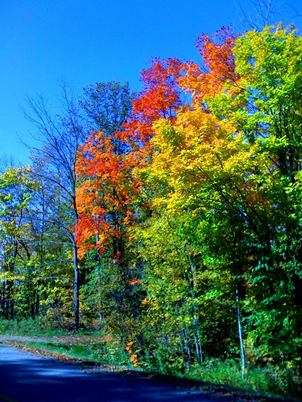 Day 175 View The Fall Colors 365 Twin Cities Coloring Wallpapers Download Free Images Wallpaper [coloring837.blogspot.com]