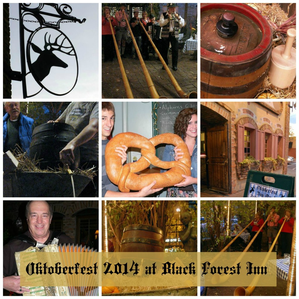 Oktoberfest Collage 2014
